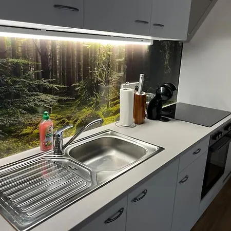 Daire Gemuetliches 4er In Skilift-naehe *