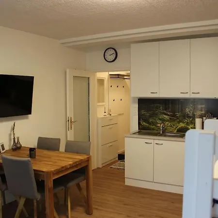 Gemuetliches 4er In Skilift-naehe Daire *