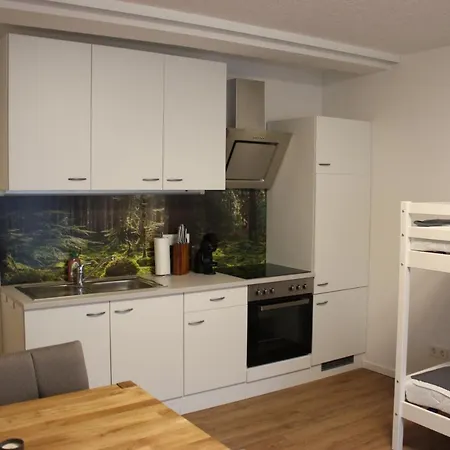 Gemuetliches 4er In Skilift-naehe Apartment