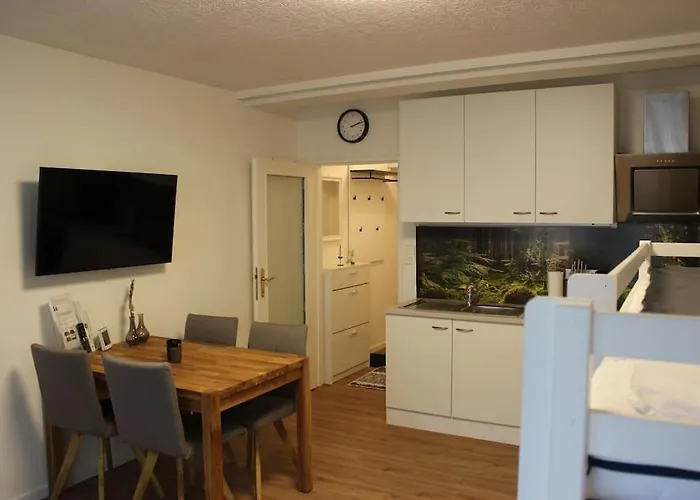 Gemuetliches 4er In Skilift-naehe Appartement *